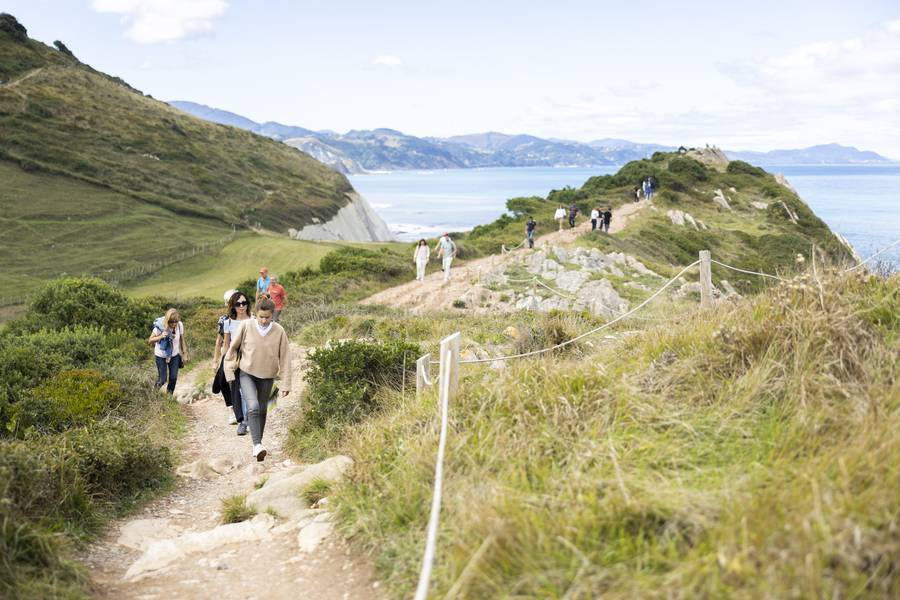 Educadores fomentarán la protección de Algorri hasta el 20 de agosto